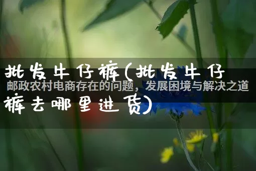批发牛仔裤(批发牛仔裤去哪里进货)_https://www.rzcpcj.com_天猫运营_第1张