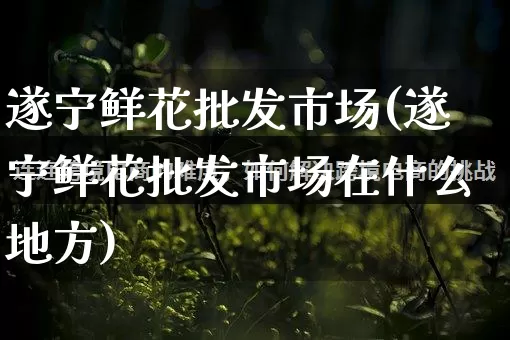 遂宁鲜花批发市场(遂宁鲜花批发市场在什么地方)_https://www.rzcpcj.com_天猫运营_第1张