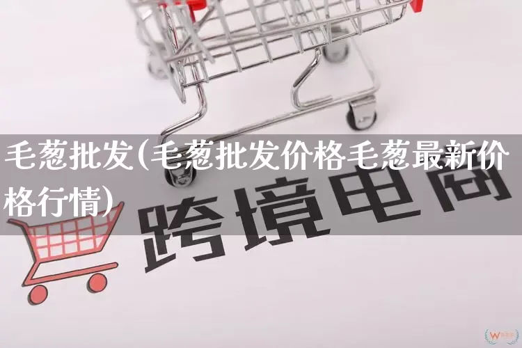 毛葱批发(毛葱批发价格毛葱最新价格行情)_https://www.rzcpcj.com_抖音快手_第1张