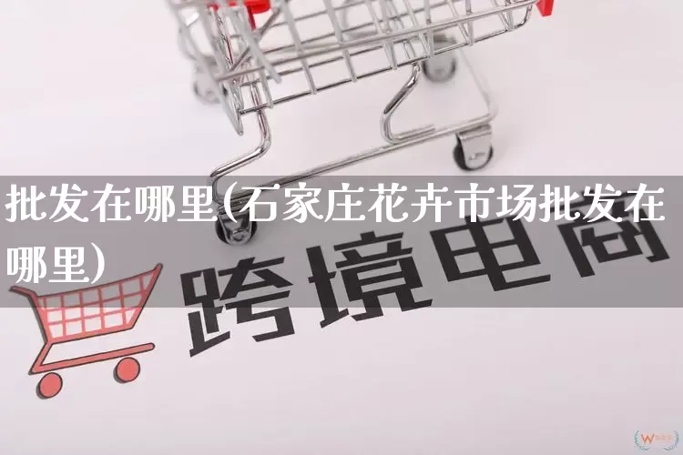 批发在哪里(石家庄花卉市场批发在哪里)_https://www.rzcpcj.com_直通车_第1张