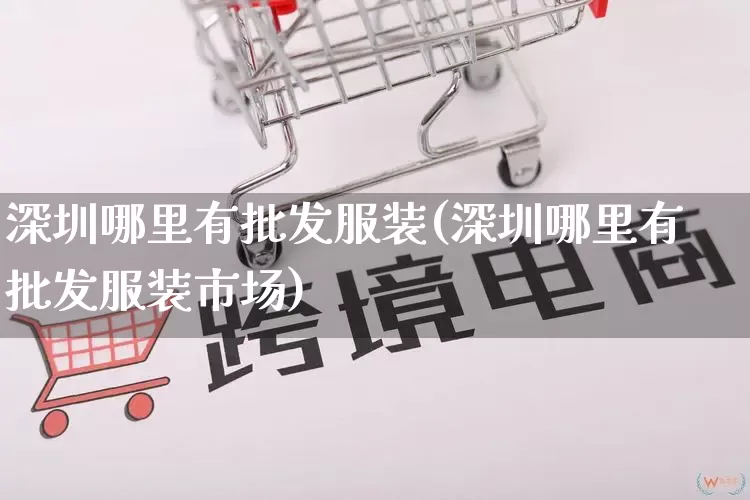 深圳哪里有批发服装(深圳哪里有批发服装市场)_https://www.rzcpcj.com_直通车_第1张