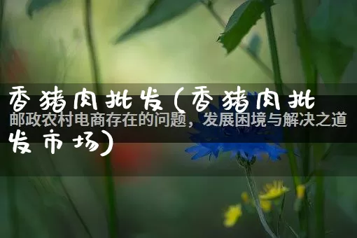 香猪肉批发(香猪肉批发市场)_https://www.rzcpcj.com_代运营_第1张