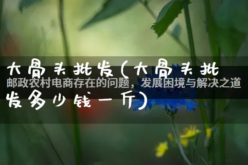 大骨头批发(大骨头批发多少钱一斤)_https://www.rzcpcj.com_开网店_第1张