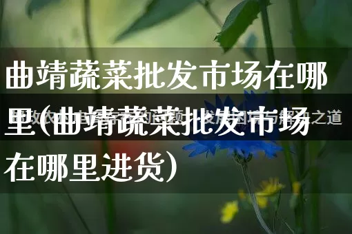 曲靖蔬菜批发市场在哪里(曲靖蔬菜批发市场在哪里进货)_直通车_第1张_电商运营网 曲靖蔬菜批发市场在哪里(曲靖蔬菜批发市场在哪里进货)_https://www.rzcpcj.com_直通车_第1张