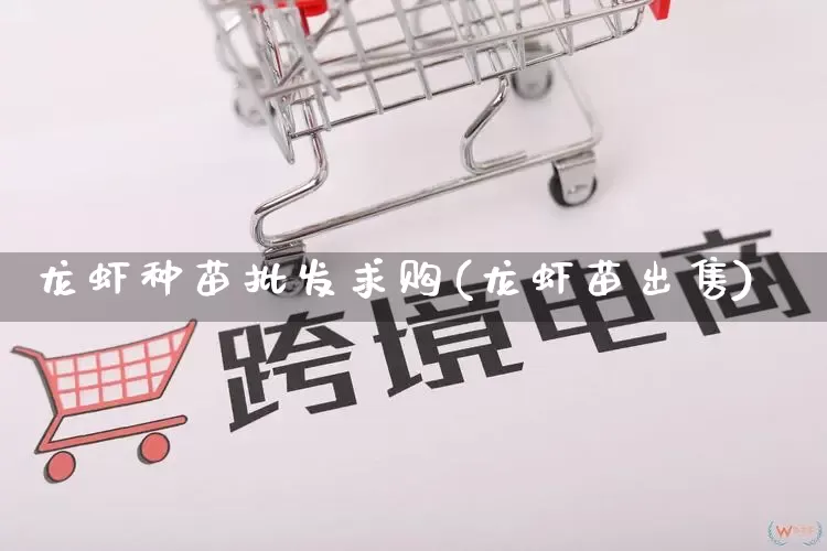 龙虾种苗批发求购(龙虾苗出售)_https://www.rzcpcj.com_开网店_第1张
