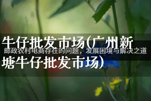 牛仔批发市场(广州新塘牛仔批发市场)_https://www.rzcpcj.com_直通车_第1张