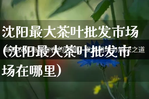沈阳最大茶叶批发市场(沈阳最大茶叶批发市场在哪里)_https://www.rzcpcj.com_代运营_第1张
