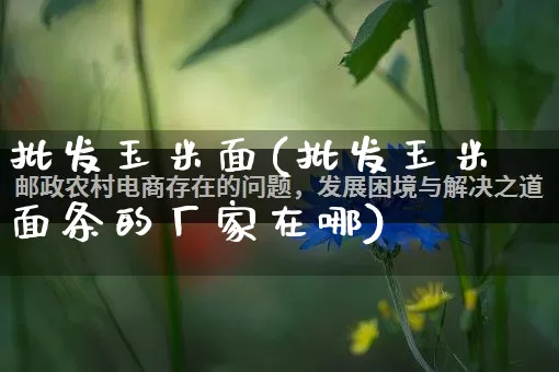 批发玉米面(批发玉米面条的厂家在哪)_https://www.rzcpcj.com_直通车_第1张