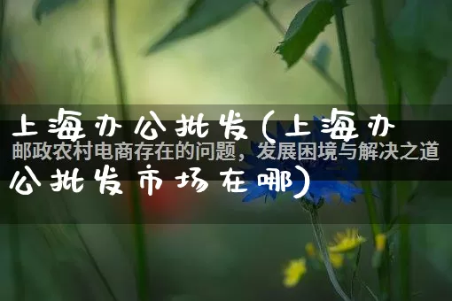 上海办公批发(上海办公批发市场在哪)_https://www.rzcpcj.com_天猫运营_第1张