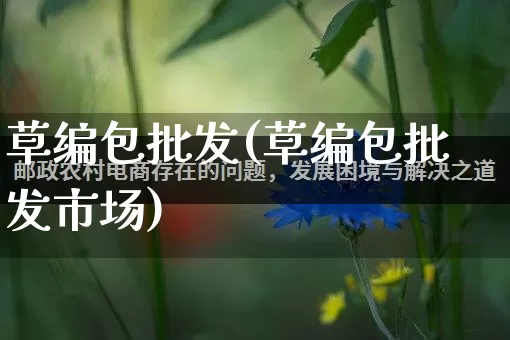 草编包批发(草编包批发市场)_https://www.rzcpcj.com_开网店_第1张