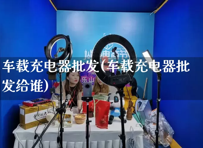 车载充电器批发(车载充电器批发给谁)_https://www.rzcpcj.com_淘宝运营_第1张