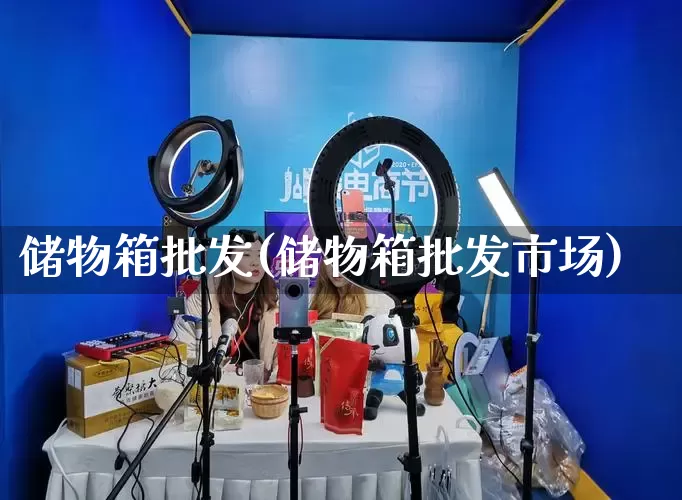 储物箱批发(储物箱批发市场)_https://www.rzcpcj.com_直通车_第1张