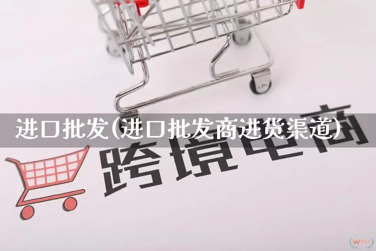 进口批发(进口批发商进货渠道)_https://www.rzcpcj.com_淘宝运营_第1张