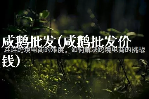 咸鹅批发(咸鹅批发价钱)_https://www.rzcpcj.com_抖音快手_第1张