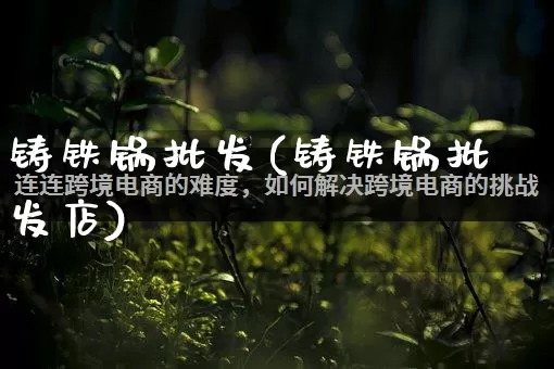 铸铁锅批发(铸铁锅批发店)_https://www.rzcpcj.com_抖音快手_第1张