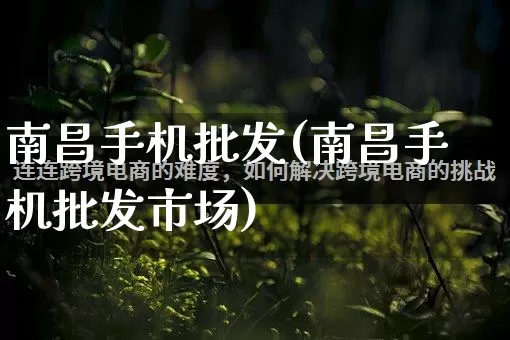 南昌手机批发(南昌手机批发市场)_https://www.rzcpcj.com_直通车_第1张