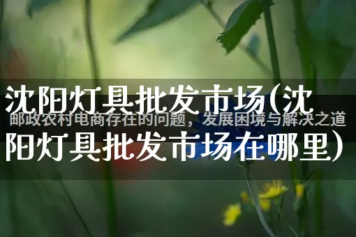 沈阳灯具批发市场(沈阳灯具批发市场在哪里)_https://www.rzcpcj.com_抖音快手_第1张