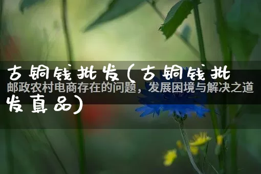 古铜钱批发(古铜钱批发真品)_https://www.rzcpcj.com_代运营_第1张