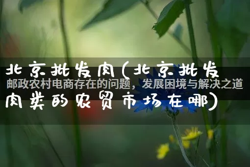 北京批发肉(北京批发肉类的农贸市场在哪)_https://www.rzcpcj.com_抖音快手_第1张