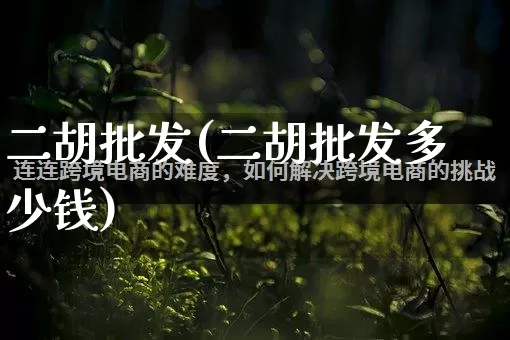 二胡批发(二胡批发多少钱)_https://www.rzcpcj.com_抖音快手_第1张