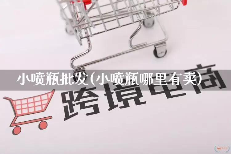 小喷瓶批发(小喷瓶哪里有卖)_https://www.rzcpcj.com_抖音快手_第1张