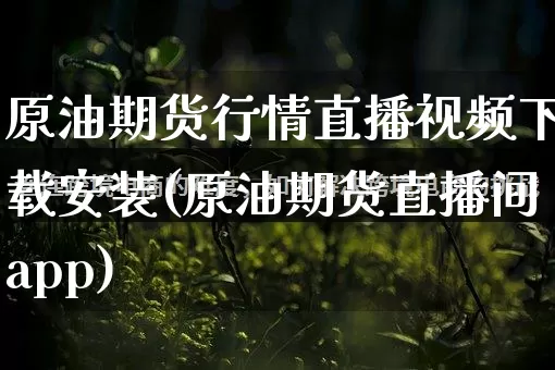 原油期货行情直播视频下载安装(原油期货直播间app)_https://www.rzcpcj.com_天猫运营_第1张