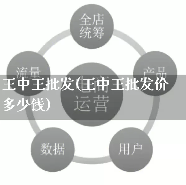王中王批发(王中王批发价多少钱)_https://www.rzcpcj.com_抖音快手_第1张