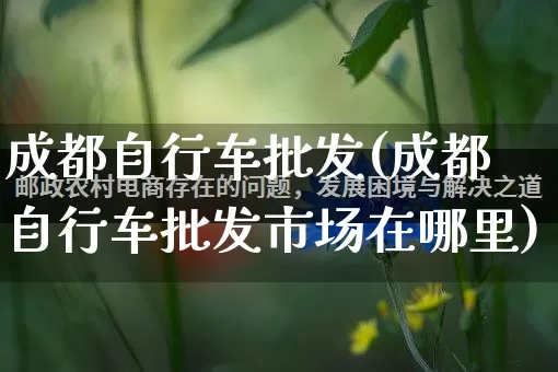 成都自行车批发(成都自行车批发市场在哪里)_https://www.rzcpcj.com_代运营_第1张