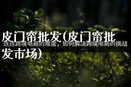 皮门帘批发(皮门帘批发市场)_https://www.rzcpcj.com_抖音快手_第1张