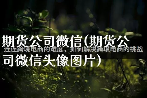 期货公司微信(期货公司微信头像图片)_https://www.rzcpcj.com_天猫运营_第1张