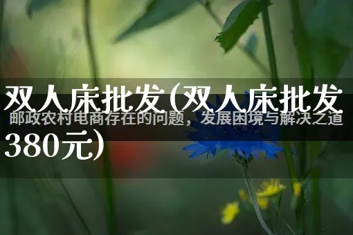双人床批发(双人床批发380元)_https://www.rzcpcj.com_天猫运营_第1张