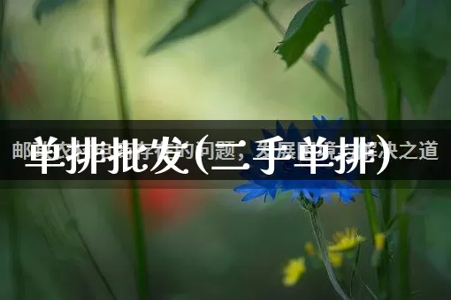单排批发(二手单排)_https://www.rzcpcj.com_直通车_第1张