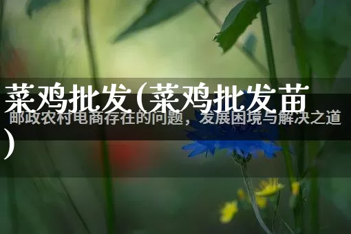 菜鸡批发(菜鸡批发苗)_https://www.rzcpcj.com_抖音快手_第1张