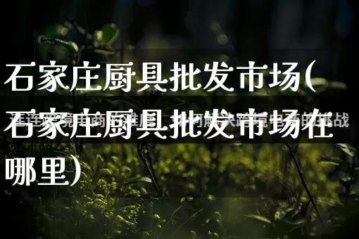 石家庄厨具批发市场(石家庄厨具批发市场在哪里)_https://www.rzcpcj.com_淘宝运营_第1张