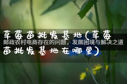 草莓苗批发基地(草莓苗批发基地在哪里)_https://www.rzcpcj.com_抖音快手_第1张
