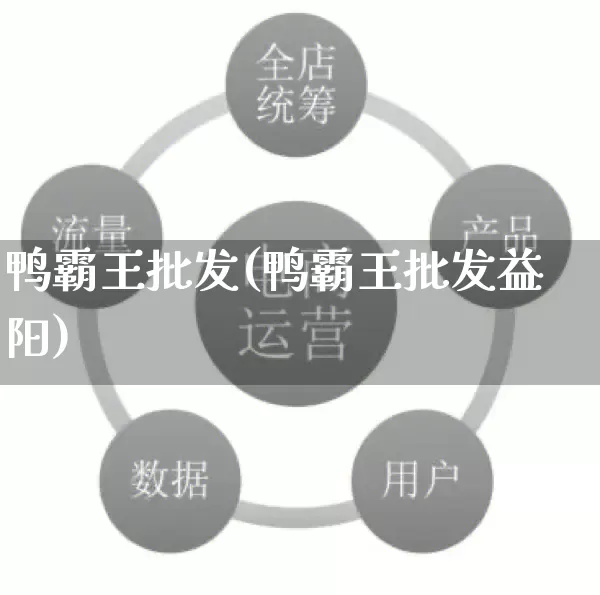 鸭霸王批发(鸭霸王批发益阳)_https://www.rzcpcj.com_天猫运营_第1张