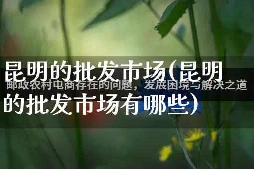 昆明的批发市场(昆明的批发市场有哪些)_https://www.rzcpcj.com_直通车_第1张