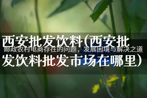 西安批发饮料(西安批发饮料批发市场在哪里)_https://www.rzcpcj.com_淘宝运营_第1张