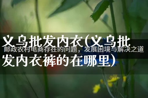义乌批发内衣(义乌批发内衣裤的在哪里)_https://www.rzcpcj.com_淘宝运营_第1张