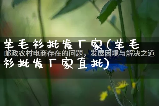 羊毛衫批发厂家(羊毛衫批发厂家直批)_https://www.rzcpcj.com_抖音快手_第1张