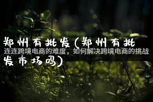 郑州有批发(郑州有批发市场吗)_https://www.rzcpcj.com_开网店_第1张