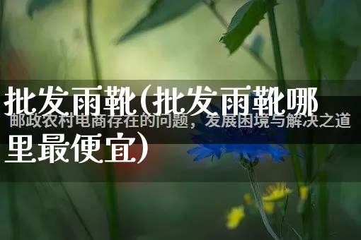 批发雨靴(批发雨靴哪里最便宜)_https://www.rzcpcj.com_淘宝运营_第1张