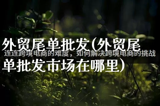外贸尾单批发(外贸尾单批发市场在哪里)_https://www.rzcpcj.com_开网店_第1张