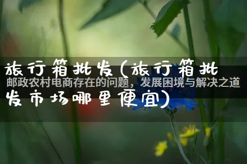 旅行箱批发(旅行箱批发市场哪里便宜)_https://www.rzcpcj.com_抖音快手_第1张