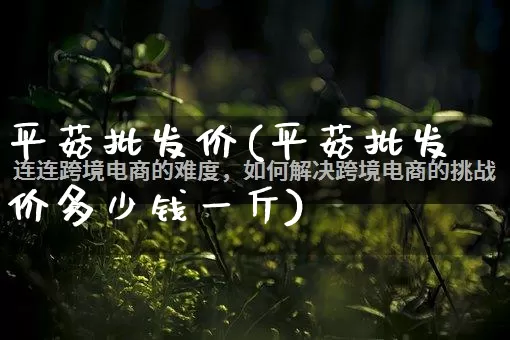 平菇批发价(平菇批发价多少钱一斤)_开网店_第1张_电商运营网 平菇批发价(平菇批发价多少钱一斤)_https://www.rzcpcj.com_开网店_第1张