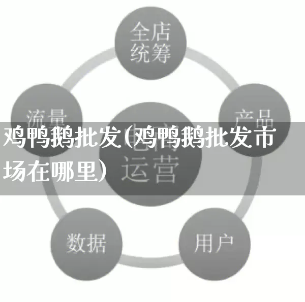 鸡鸭鹅批发(鸡鸭鹅批发市场在哪里)_https://www.rzcpcj.com_淘宝运营_第1张