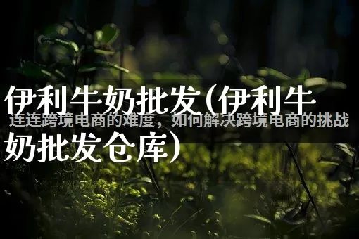伊利牛奶批发(伊利牛奶批发仓库)_https://www.rzcpcj.com_淘宝运营_第1张