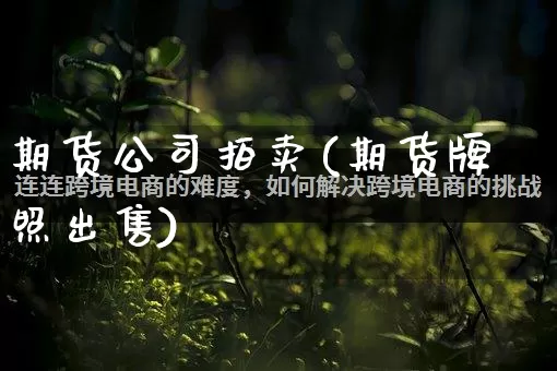 期货公司拍卖(期货牌照出售)_https://www.rzcpcj.com_开网店_第1张