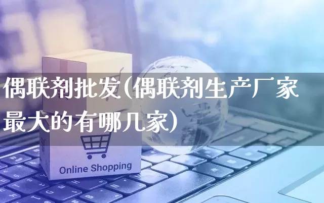 偶联剂批发(偶联剂生产厂家最大的有哪几家)_https://www.rzcpcj.com_代运营_第1张