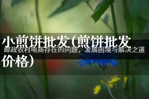 小煎饼批发(煎饼批发价格)_https://www.rzcpcj.com_抖音快手_第1张